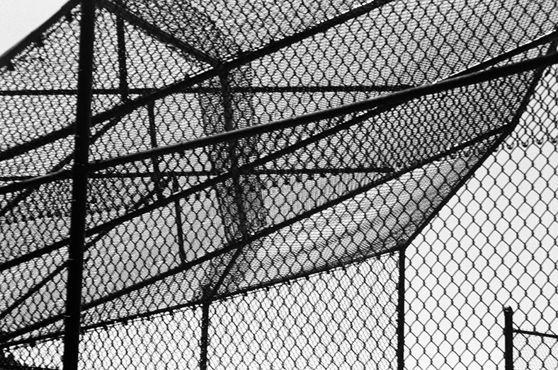 prospect park, brooklyn, ny<br />2024